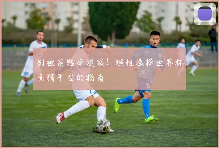 别被高赔率迷惑！理性选择世界杯竞猜平台的指南
