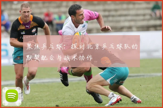聚焦乒乓球：探讨北京乒乓球队的默契配合与战术协作