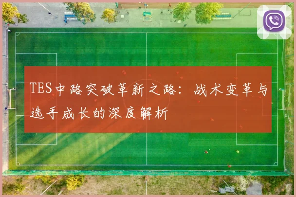 TES中路突破革新之路：战术变革与选手成长的深度解析